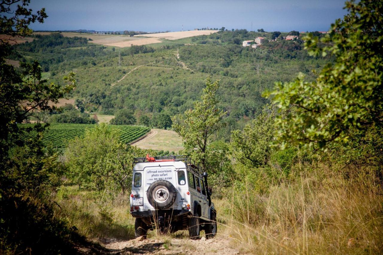 Al Merlo Olivo, Rural Istrian House Buje Luaran gambar
