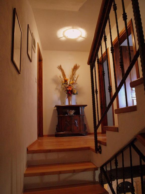 Al Merlo Olivo, Rural Istrian House Buje Luaran gambar