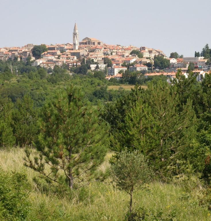 Al Merlo Olivo, Rural Istrian House Buje Luaran gambar