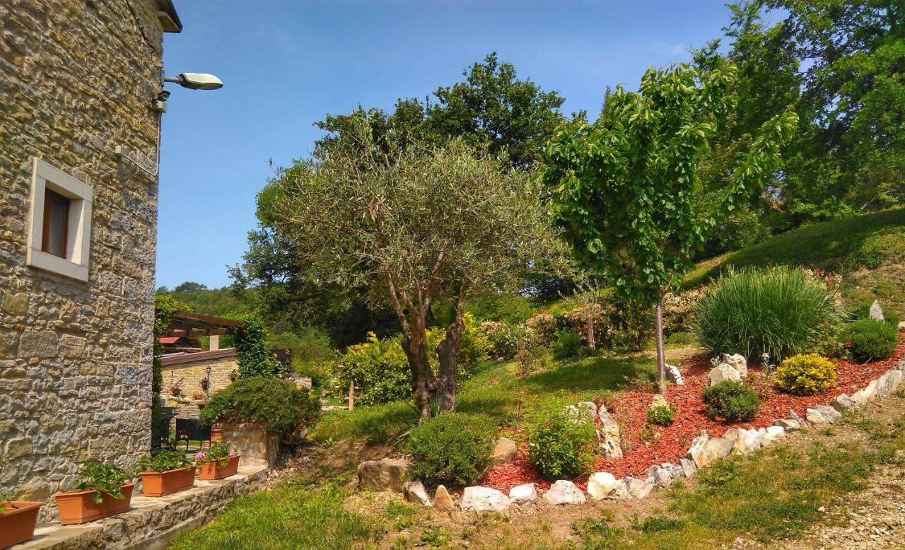 Al Merlo Olivo, Rural Istrian House Buje Luaran gambar