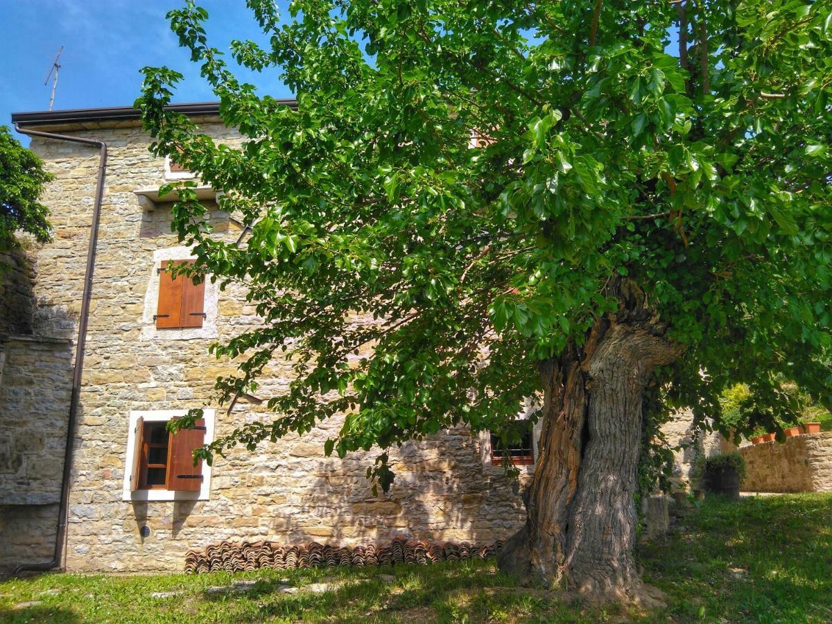 Al Merlo Olivo, Rural Istrian House Buje Luaran gambar