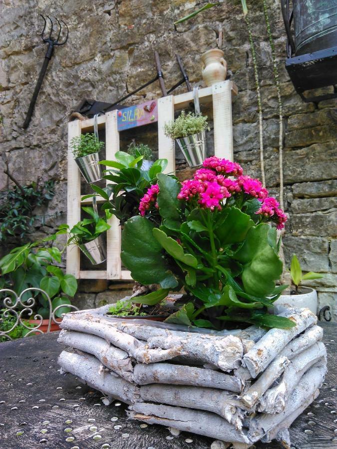 Al Merlo Olivo, Rural Istrian House Buje Luaran gambar