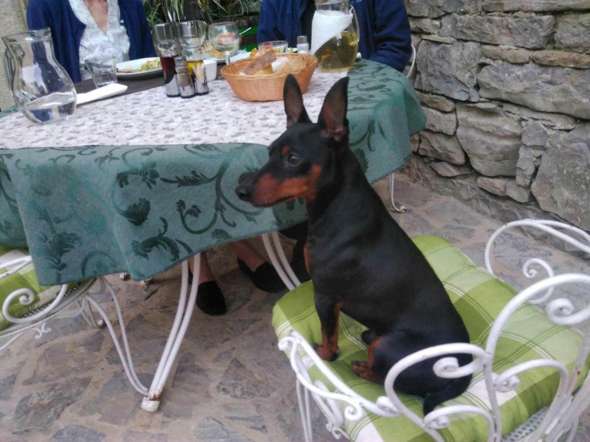 Al Merlo Olivo, Rural Istrian House Buje Luaran gambar