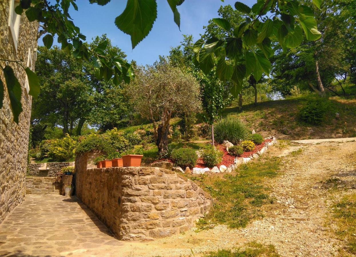 Al Merlo Olivo, Rural Istrian House Buje Luaran gambar